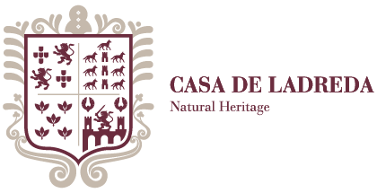 Casa de Ladreda